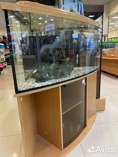 Аквариум угловой с тумбой (210 л)