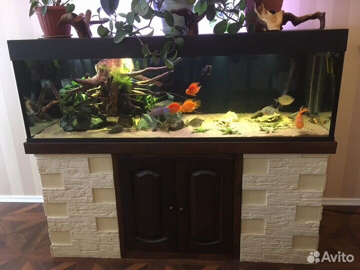 Обслуживание, запуск, чистка Аквариума