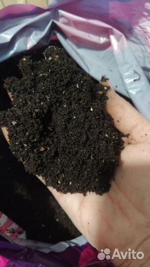 Калифорнийские черви