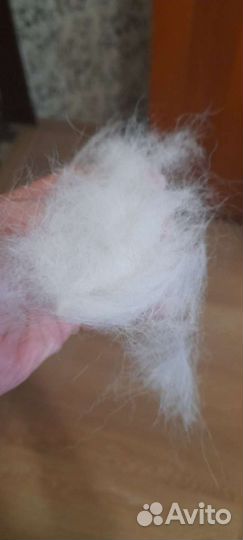 Собачья шерсть Хаски