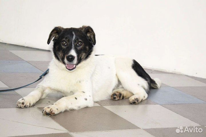 Малышка ищет семью