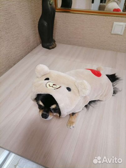 Комбинезон для маленькой собаки