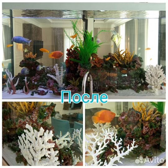 Чистка аквариума выезд