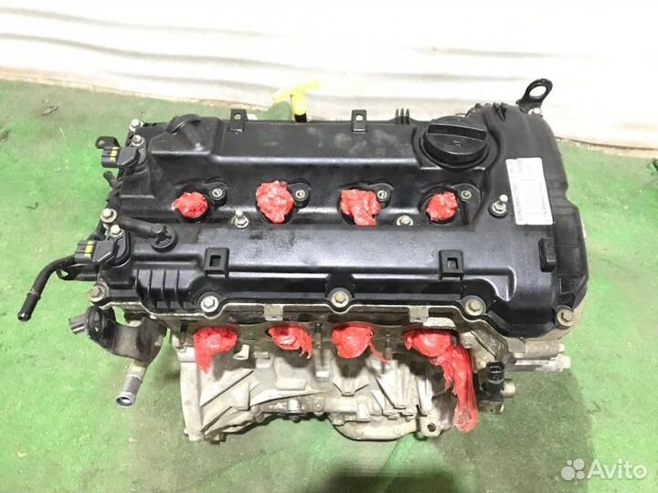 Двигатель Kia K5 DL3 G4NA 2021