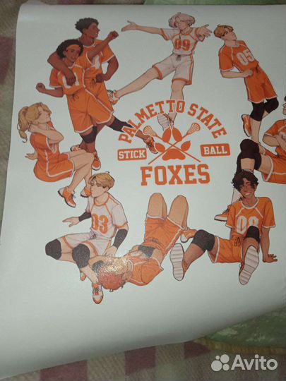 Постер по лисам Ври