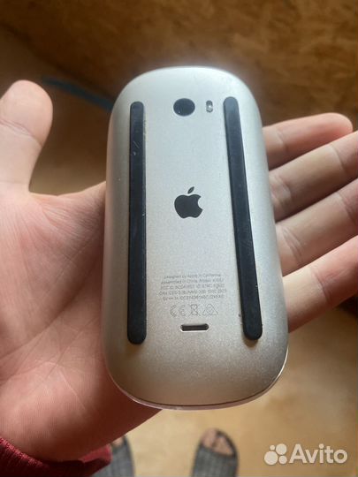 Мышь Apple