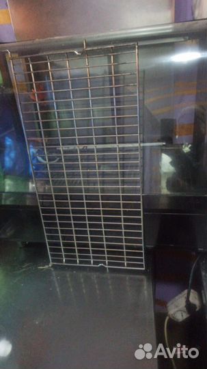 Холодильная витрина