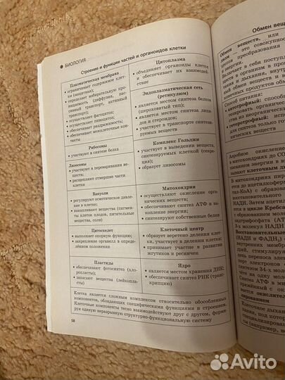 Наглядный школьный курс био/спасатель химия био