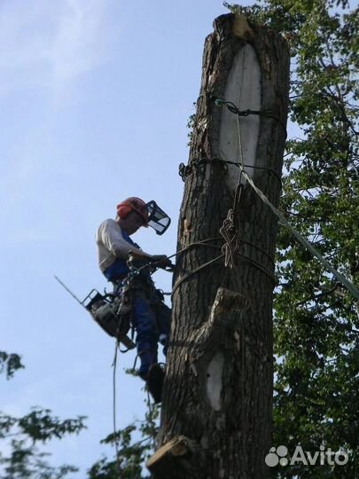Спиливание деревьев
