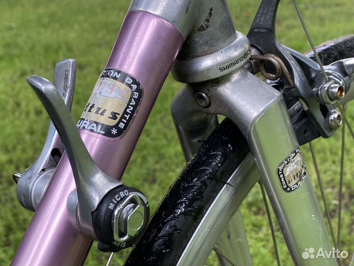 Jan Jannsen Vitus 979