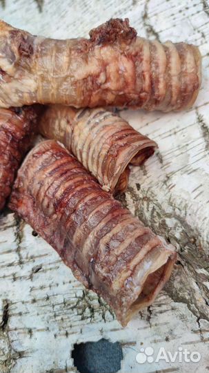 Вкусняшки и Лакомства для собак