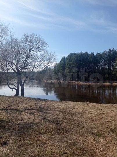 Участок 61 сот. (ИЖС)