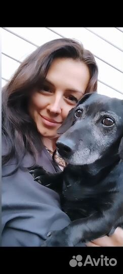 Индивидуальная домашняя передержка в частном доме