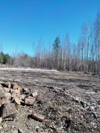 Участок 50 сот. (СНТ, ДНП)