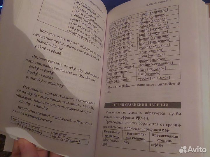 Самоучитель чешского языка