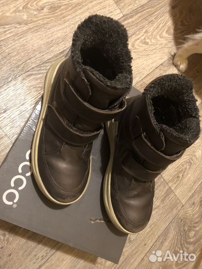 Ботинки Ecco 33 р
