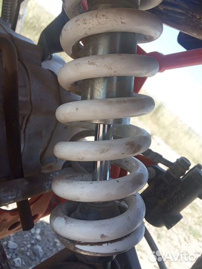 Kayo evolution 140(2022)