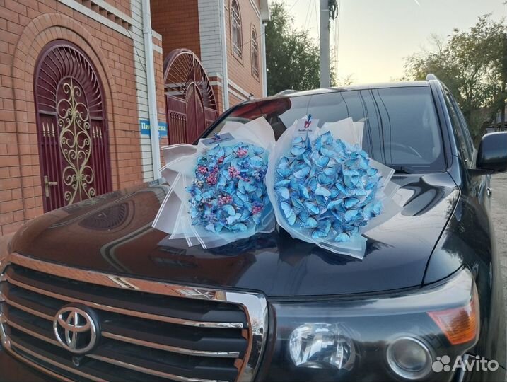 Букет из бабочек