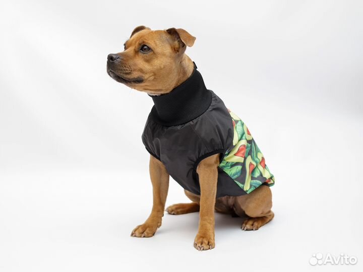 Жилет для собак