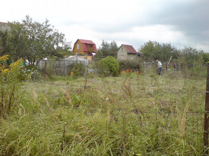 Участок 6 сот. (СНТ, ДНП)