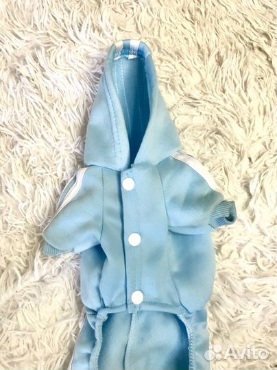 Одежда для собак чихуахуа