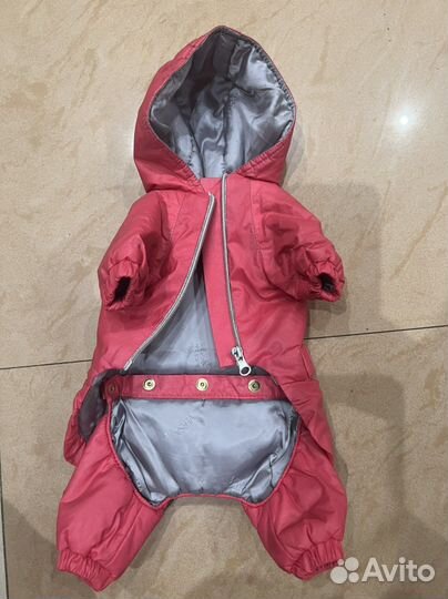 Одежда для маленьких собак s