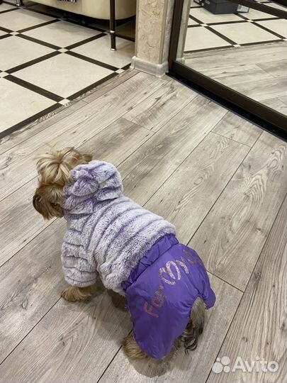 Зимний костюм для собак