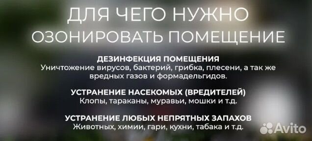 Озонатор воздуха аренда