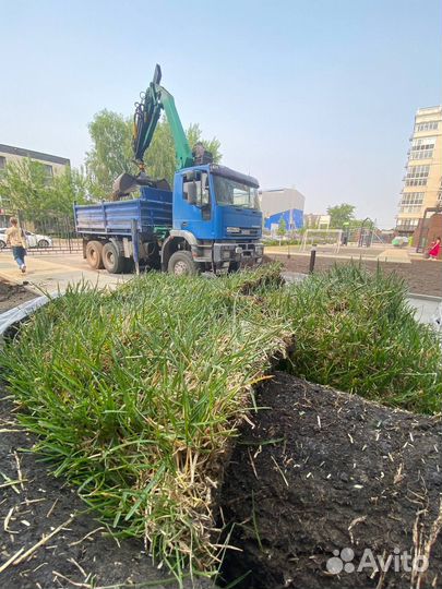 Рулонный газон «Спорт»