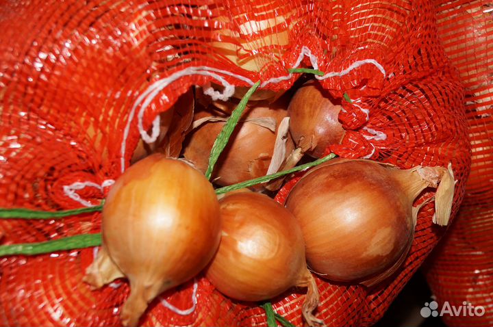 Морковь, свекла, картофель, капуста, лук репчатый