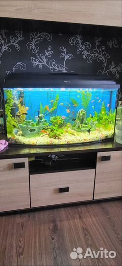 Грунт для аквариума