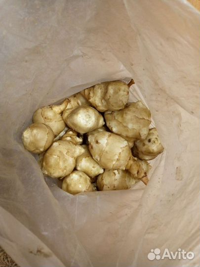 Картофель земляной