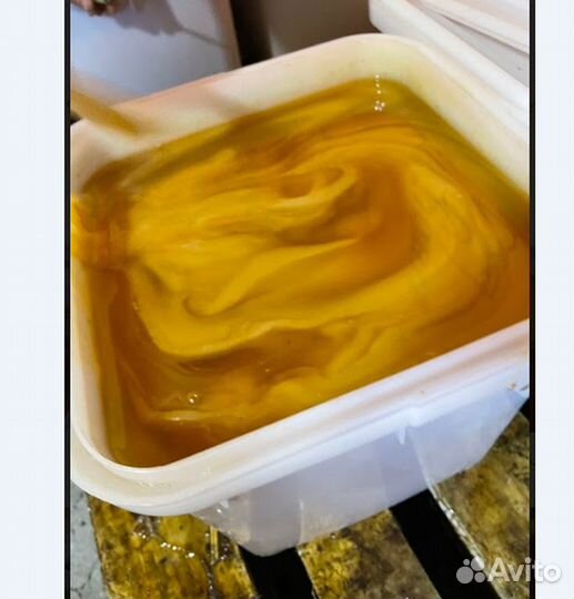 Мед оптом. Цветочный мед