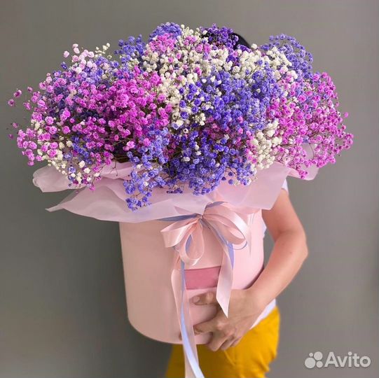 WOW Композиции Гипсофилы