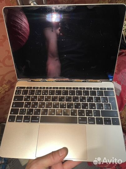 Apple MacBook 12 retina 2016