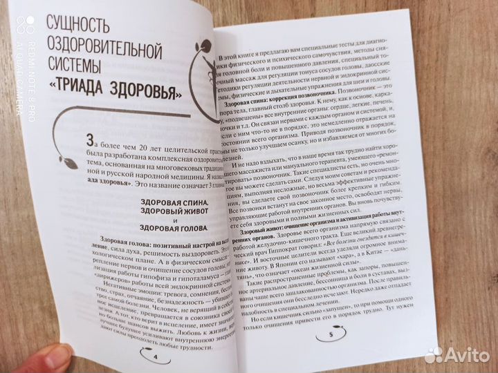 А. Иванчев. Живот: океан жизненной силы. 2014г