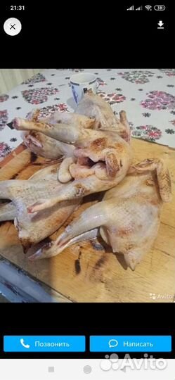 Тушки кур несушек