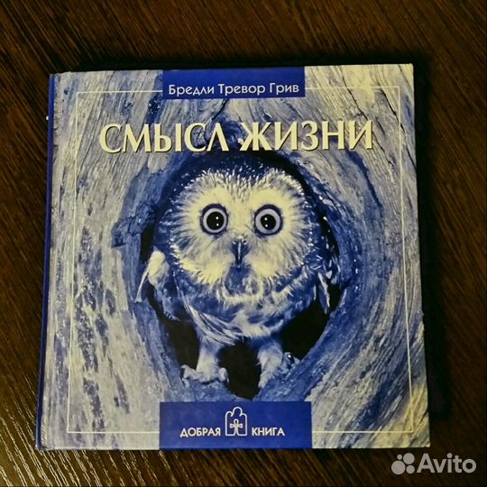 Смысл жизни. Брэдли Тревор Грив