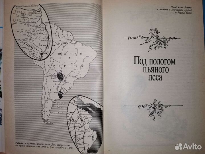 Под покровом пьяного леса