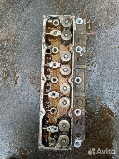 Гбц на эвотек