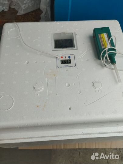 Инкубатор для яиц автоматический бу