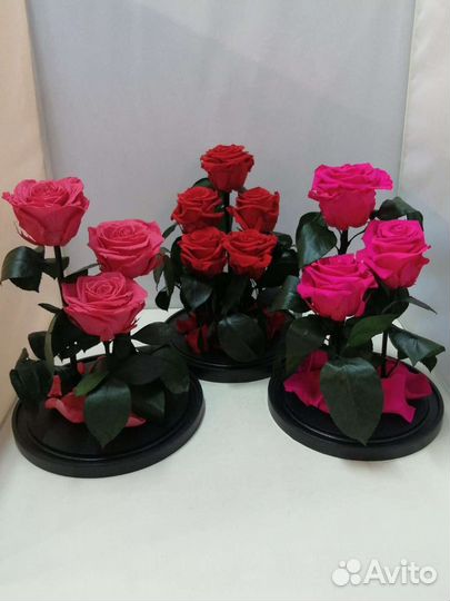 Цветы оптом