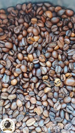 Кофе в зернах Эспрессо оптом