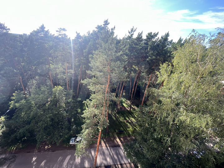 3-к. квартира, 61,6 м², 8/9 эт.