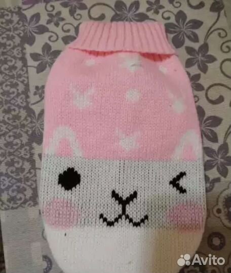 Одежда для собаки