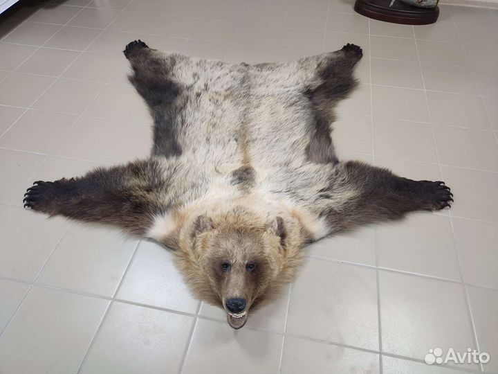 Ковер б/у искуственный медведь