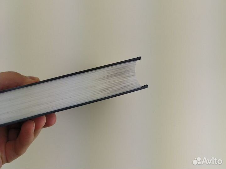 Страхи мудреца том 2 Патрик Ротфусс