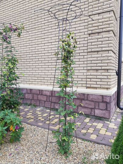 Опора для клематисов