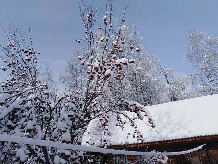 Участок 30 га (СНТ, ДНП)