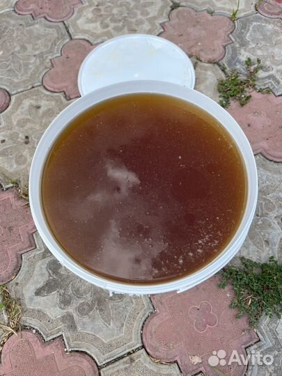 Мед 10литров